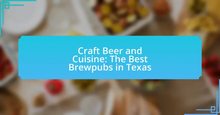 Craft Beer and Cuisine: The Best Brewpubs in Texas