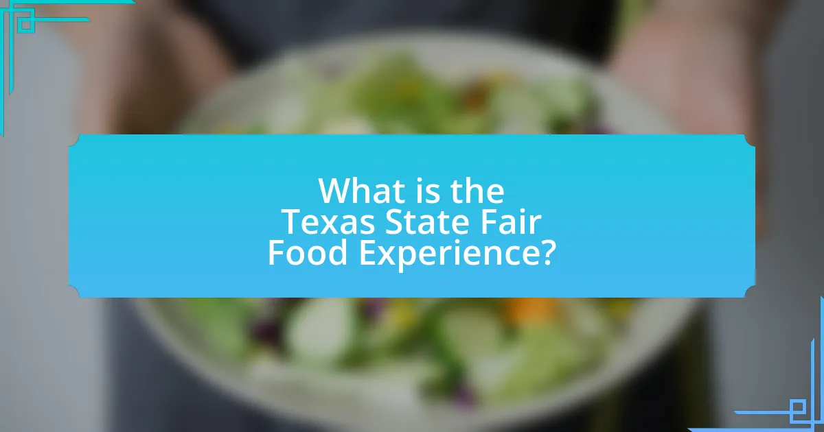 What is the Texas State Fair Food Experience?